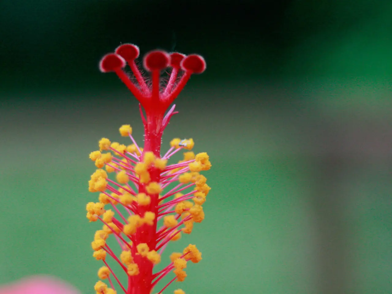 Nonallergic Rhinitis: Classification, Symptoms, and Predisposing Factors