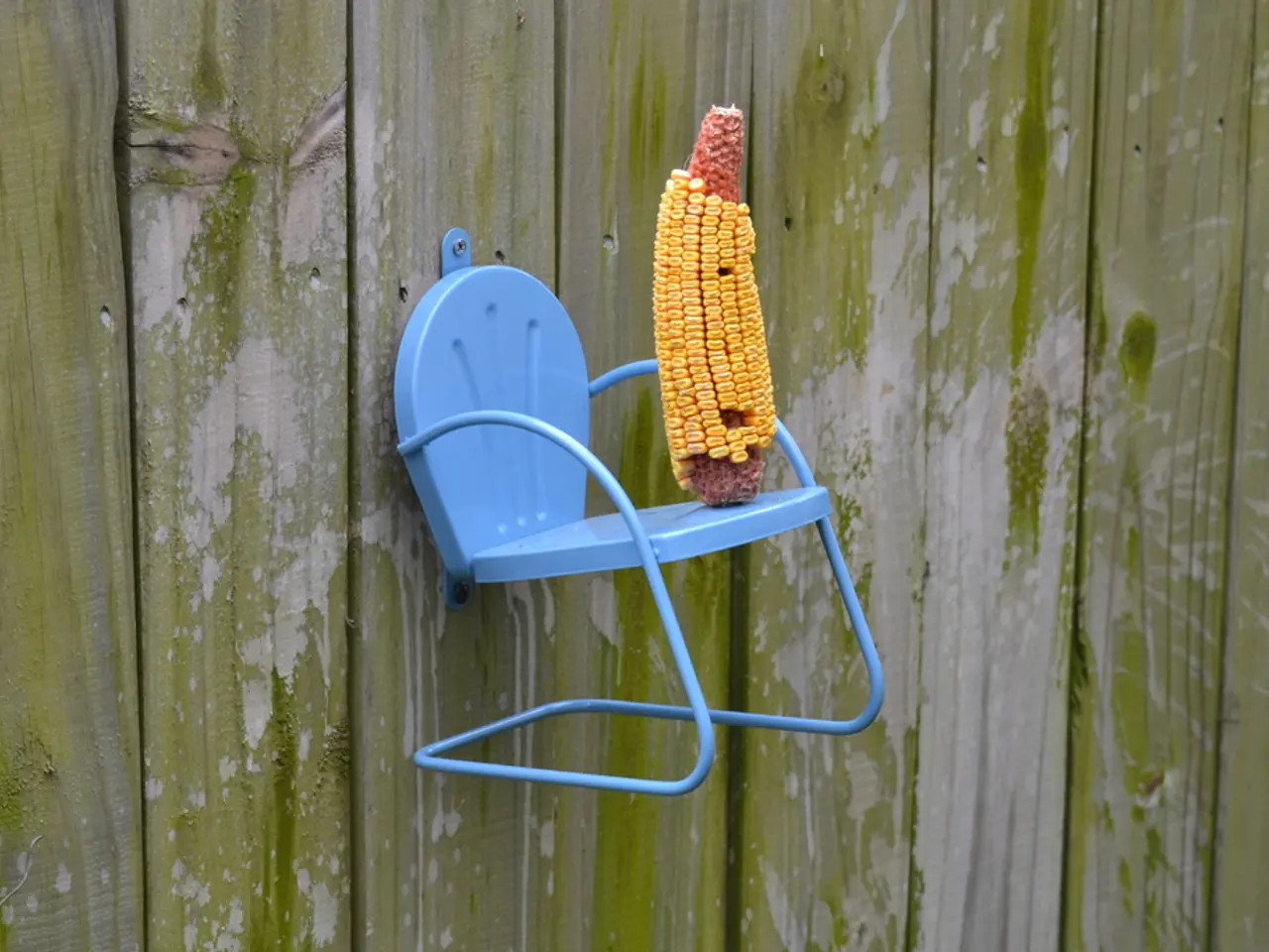 Methods for Eliminating Corns Naturally: Home Remedies and Preventive Strategies