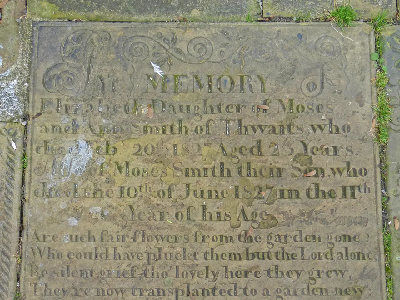 Leukemia Explained: Understanding Causes, Therapies, and Early Symptoms