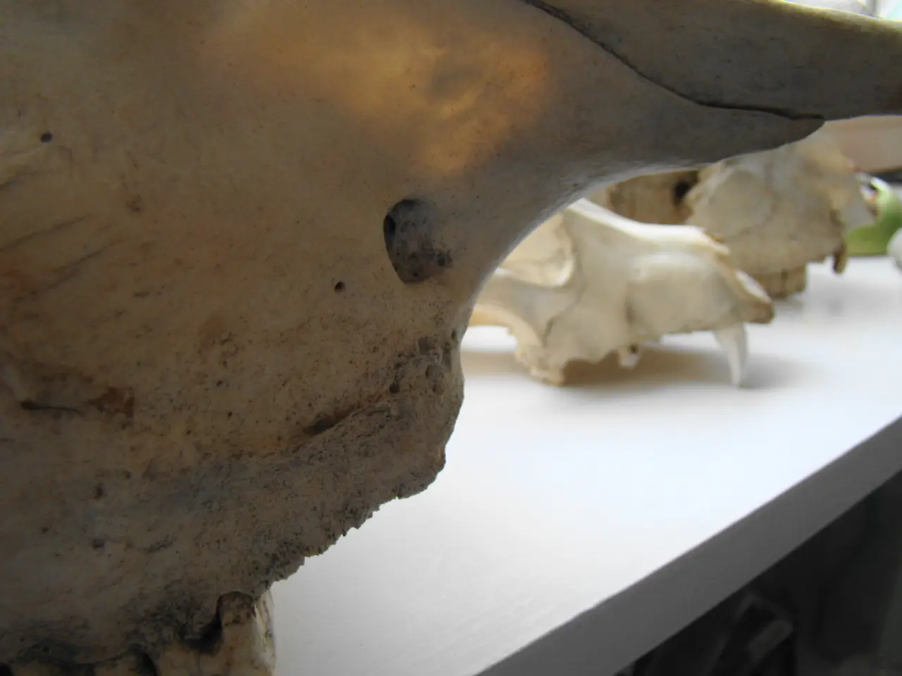 The Essence of Radiation: An Explanation