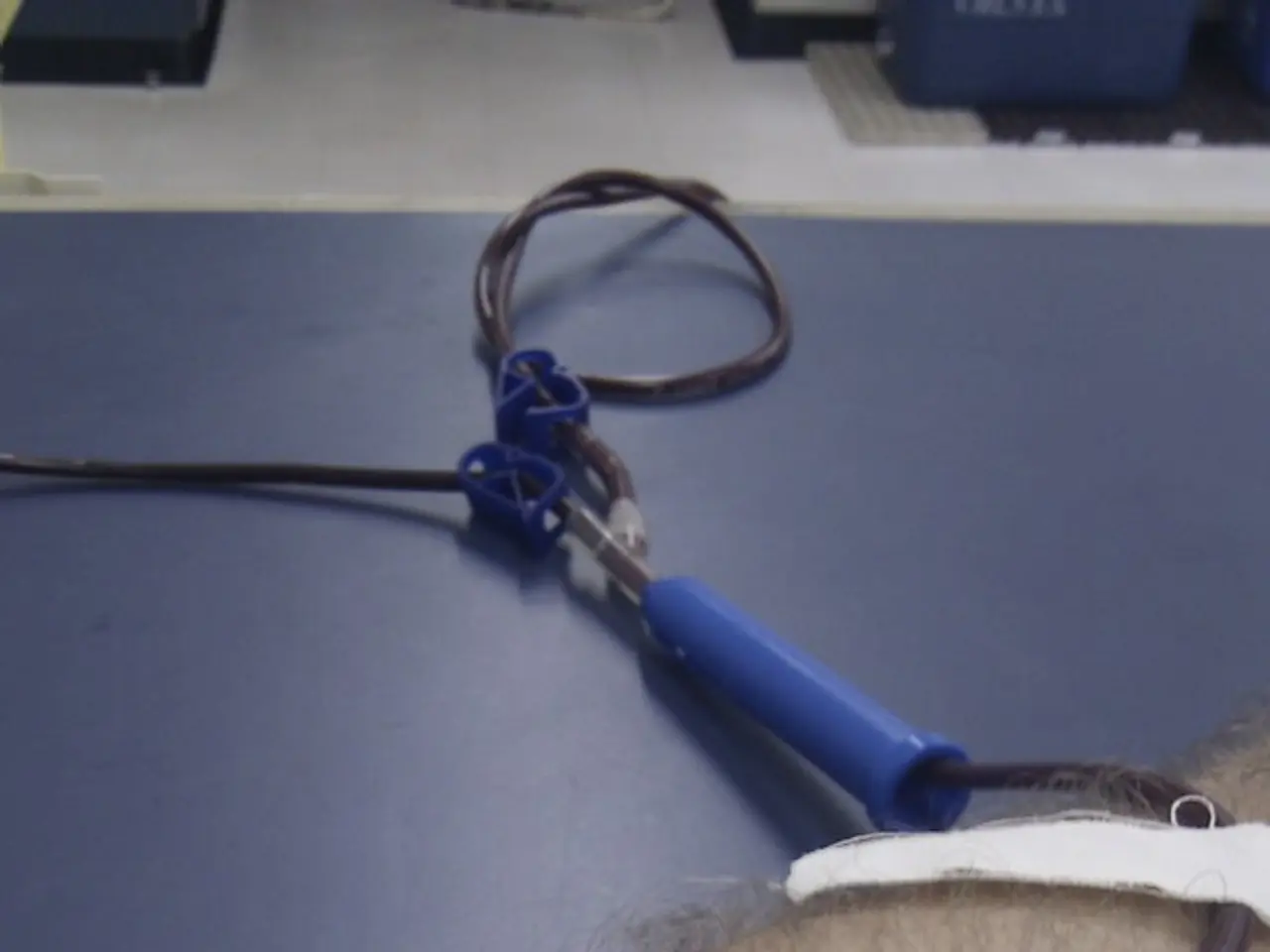 Hospital in Shalimar Bagh, Fortis, Hosts Walkathon to Boost Awareness and Advocacy for Organ...