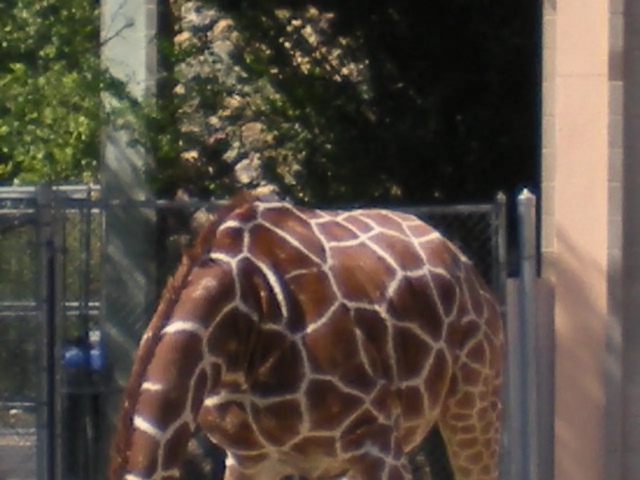 Vegan Bodybuilding Nutrition: Exploring Advantages, Meal Strategies, and Additional Insights