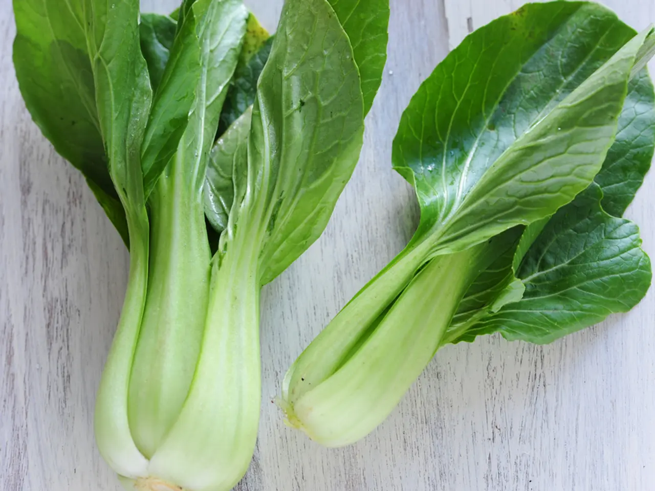 Top Choices for Parsley Associates (plus 4 to Steer Clear of)