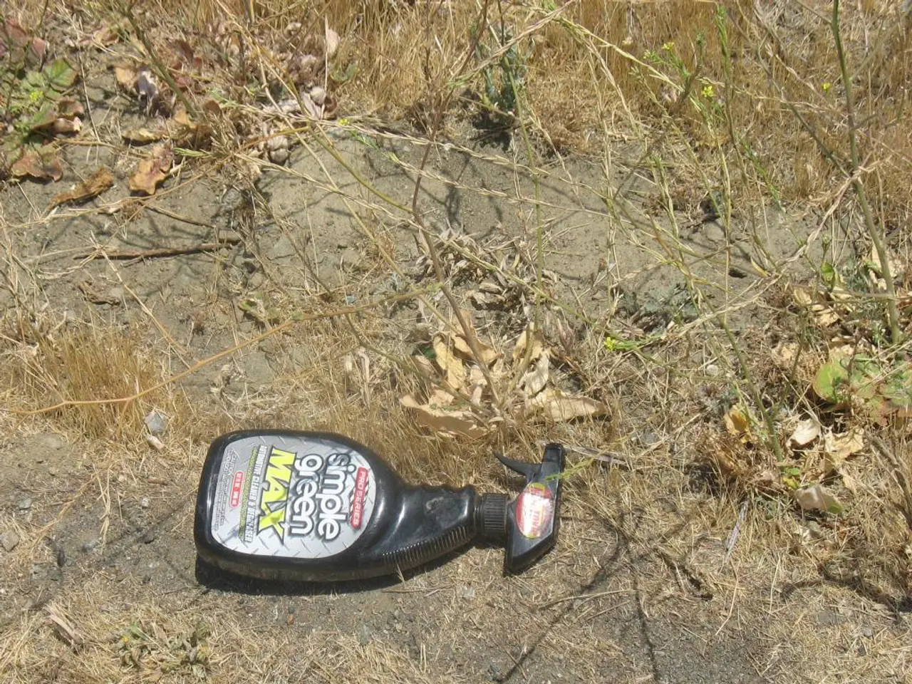 Persistence of Herbicides in Compost: Do Herbicides Remain in Hay After Composting?