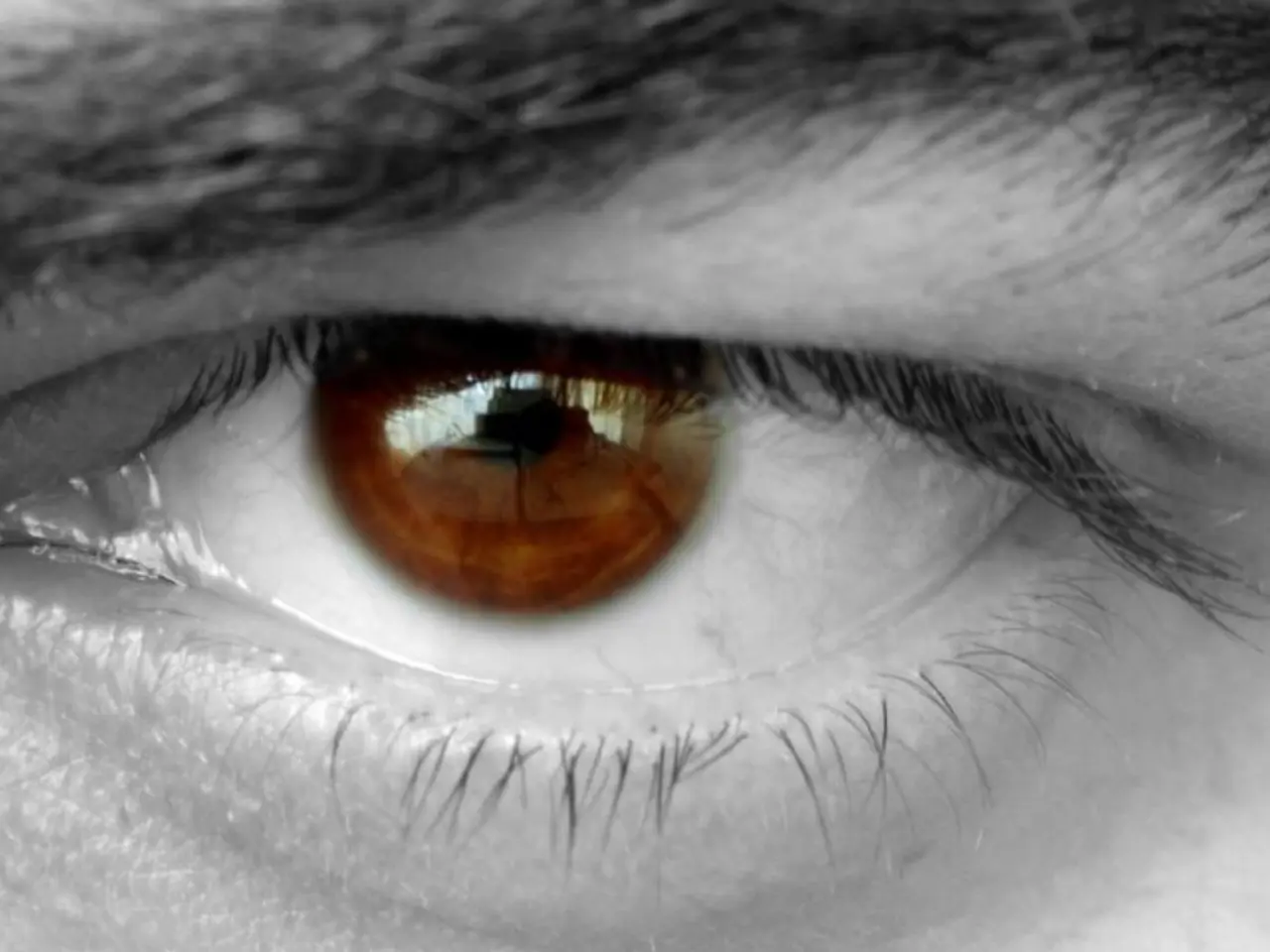 Genetic Enigma: Solving the Puzzle of Eye Color Heredity