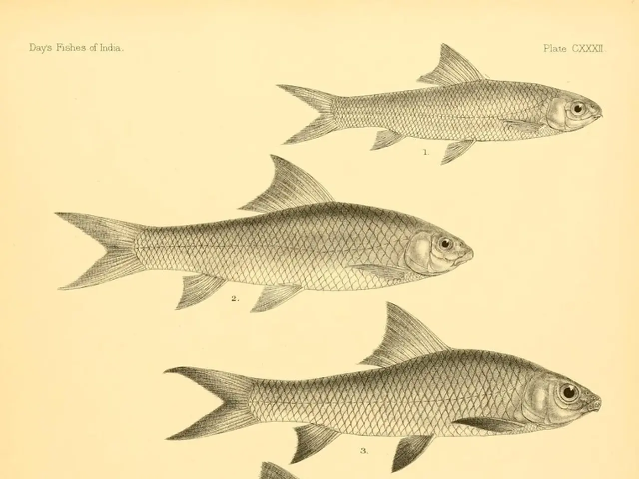 Guide for Constructing a Fishbone Diagram in Medical Diagnosis