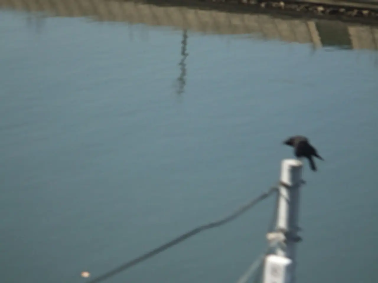 Chemical Characteristics and Electrical Attraction of Water Molecules