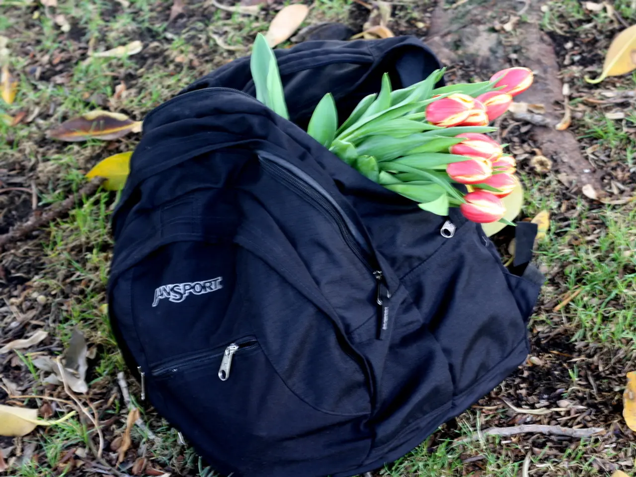 Managing Weed and Foxtail: Strategies without Utilizing Flufenacet for Control