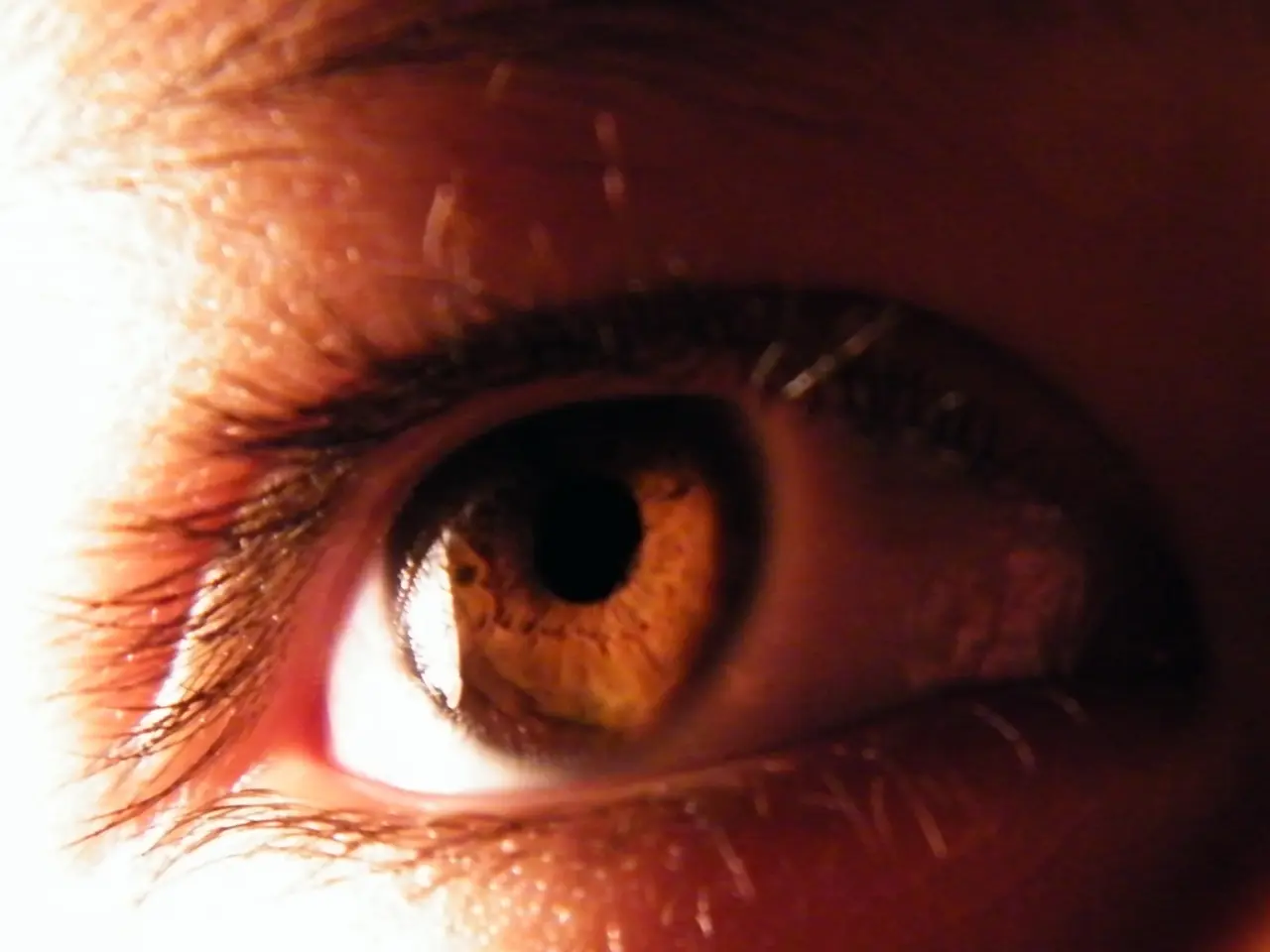 Exploring the Fascinating Realm of Botox: The Intersection of Science and Cosmetic Enhancement