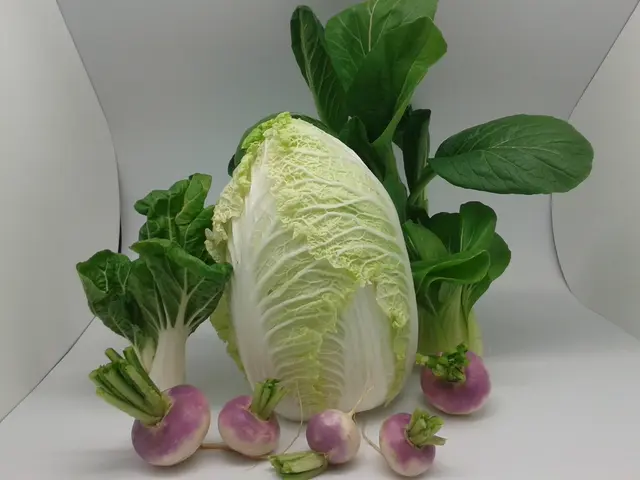 Sourced Cabbage Prepared with Caraway Seeds