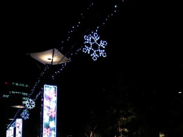 Seeking guidance for lightning situations: How to behave during thunderstorms.