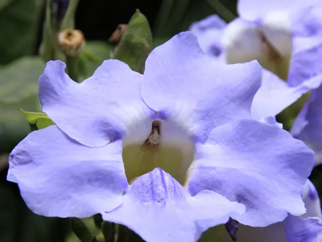 Strategies to Minimize Morning Anxiety