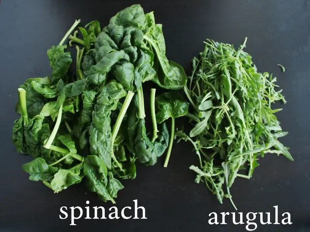 Daily consumption of a single serving of leafy greens may delay cognitive decline by approximately...