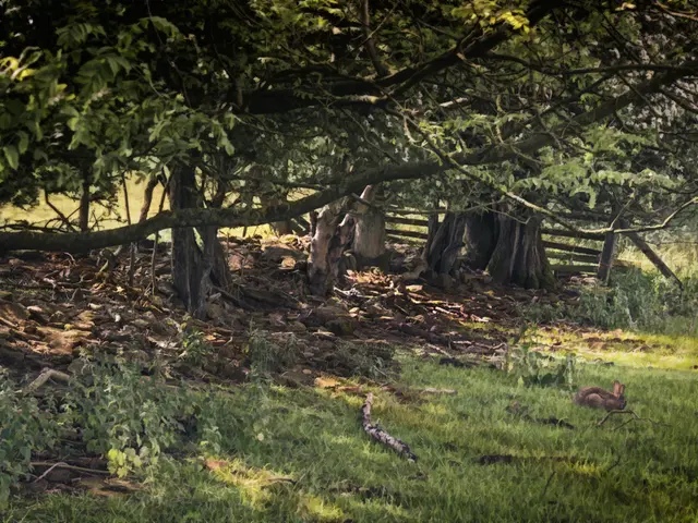 Thuringia's Pubs Experiencing Growing Popularity Among Local Residents