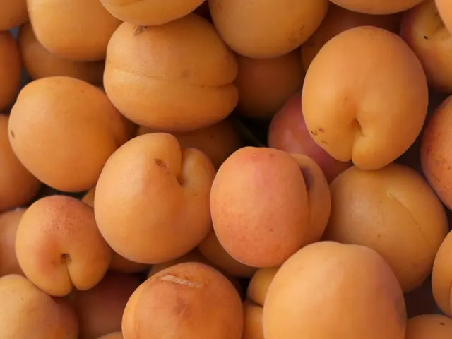 Top Water-Rich Fruits Offering Optimal Hydration: A List of 9 Fruit Picks