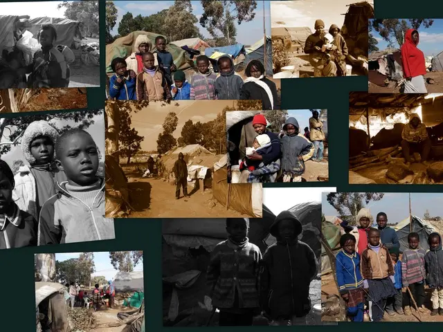 Hazelnut shortage looming for Nutella enthusiasts due to adverse weather conditions affecting the...