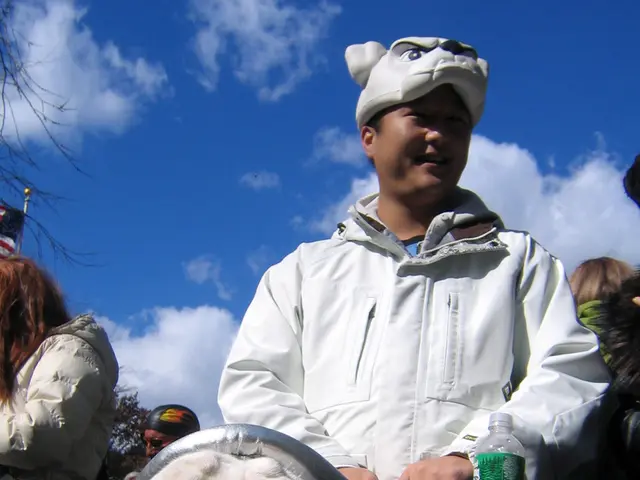 Veterinary-Endorsed Appetite Stimulants for Dogs: Explore 7 Options