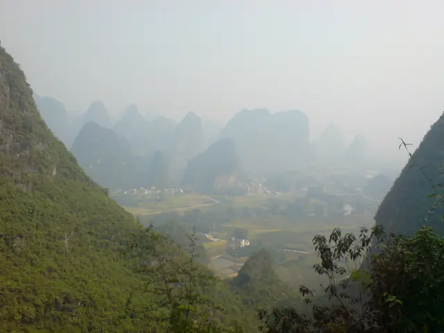 Comparison Between Aniracetam and Noopept: Which One Quickly Alleviates Cognitive Mist?