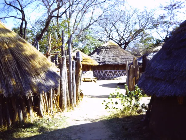 Expanding Biodiversity in the Village: Forest Enhancement for a Wider Variety of Species