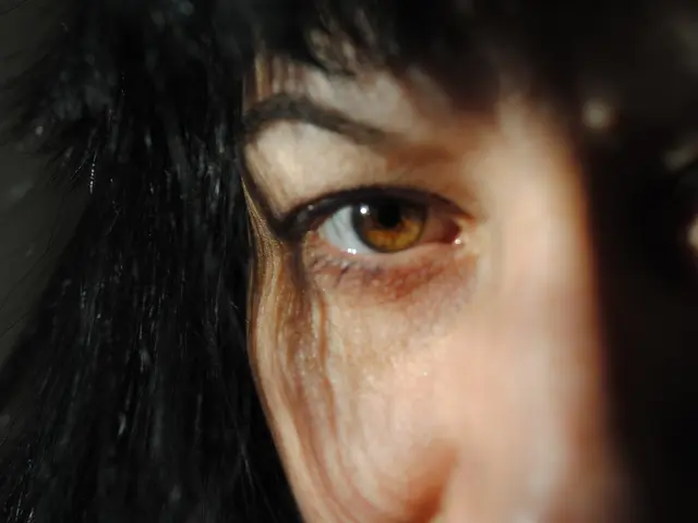 Unusual Details Revealed About Humans' Nasal Cavities