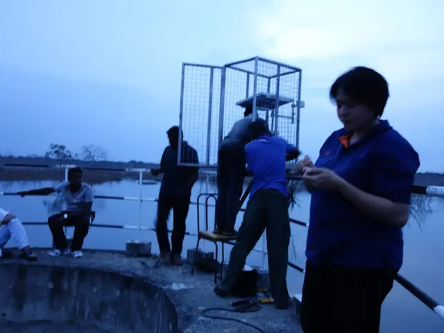 Water Retention Explanation: Origin, Symptoms, and Methods to Reduce