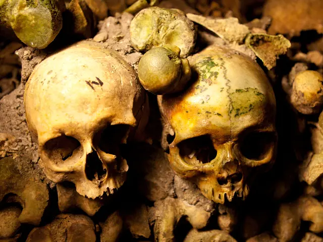 Discovered in Germany: 125,000-year-old Neanderthal Fat Processing Facility Unearthed