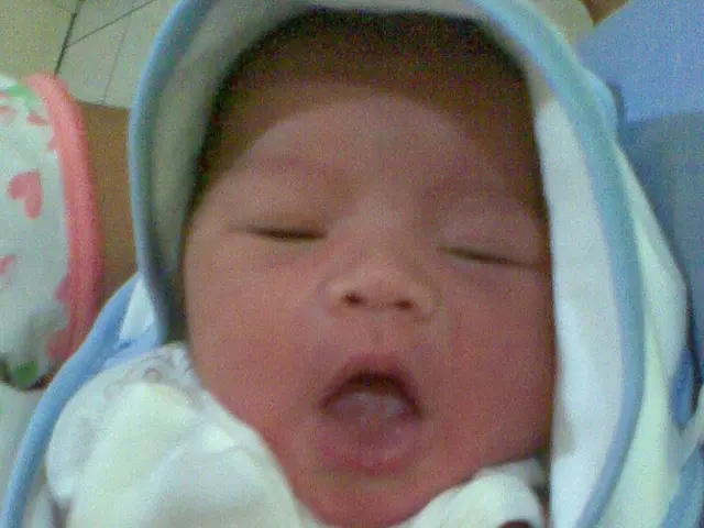 Placenta Positioning in Front: Impacts, Visual Aids, and Additional Information