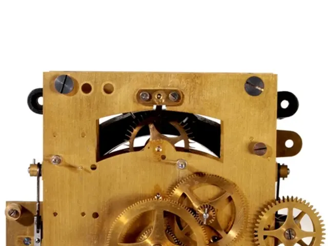 Functioning of Brain-Machine Interfaces [Elucidated]?