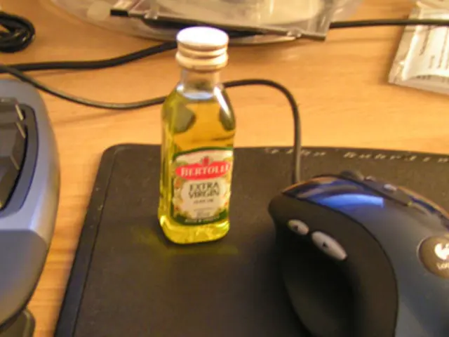 Different Forms of Human Memory Exist