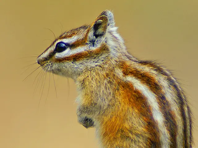 Uncovering Genetic Insights into Lupus by Korean Scientists