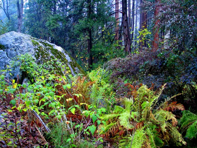 Effects of Mining on Surrounding Populations and Natural Habitats