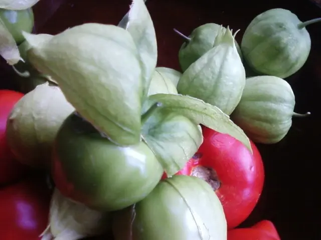 Debatable Nutritional Value of Veggie Crisps: Are They Really a Healthy Choice?