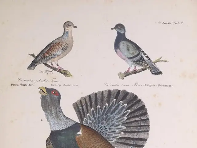 Interpreting the perplexing emblem's significance