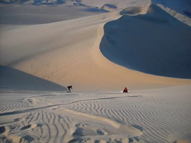 In the Depths of the Bile Ducts: Investigating the Origins of Cancer's Development