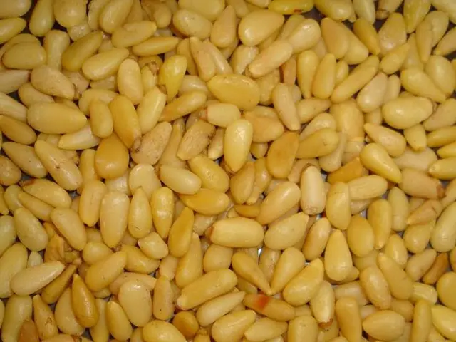 Karo Syrup and Constipation in Children: Impacts, Safety Concerns, and Application