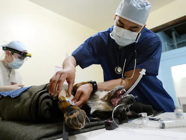 Home Prepared Enemas: Examining Safety and Potential Hazards