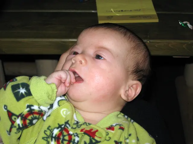 Essential Items for Pregnancy to Ensure Preparedness and a More Calm Life Experience