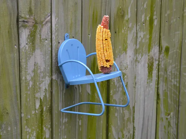 Methods for Eliminating Corns Naturally: Home Remedies and Preventive Strategies