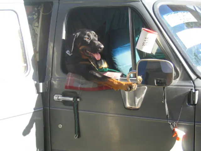 Comparison of Salicylic Acid and Benzoyl Peroxide: Advantages, Drawbacks, and Health Risks