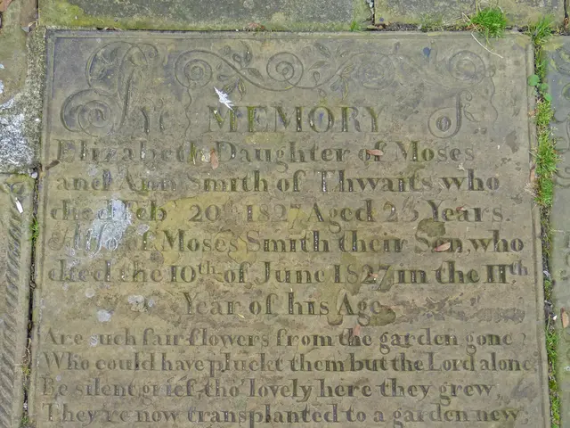 Leukemia Explained: Understanding Causes, Therapies, and Early Symptoms