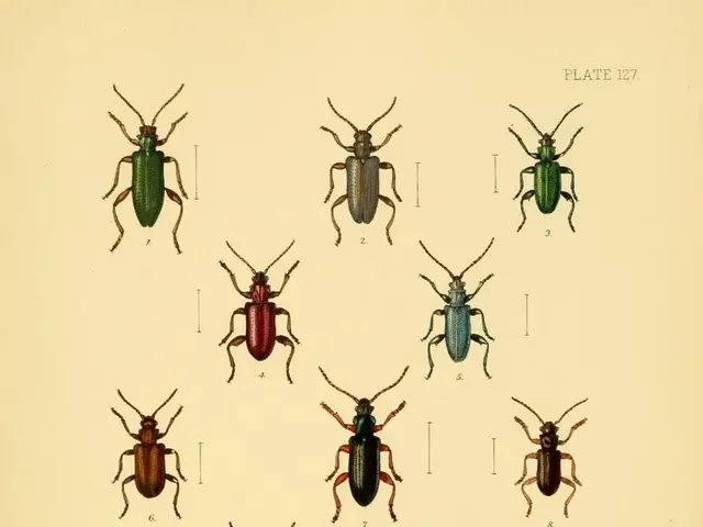 Historical Monastery Library in Hungary Imperiled by Pests