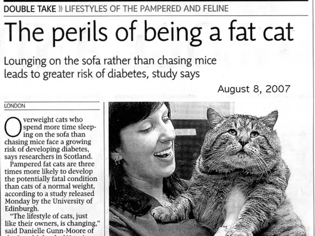 Exploring VA Disability Evaluations for Severe Depression and Anxiety: An In-depth Overview