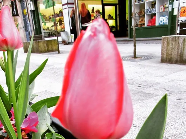 Cannabis flower sales resumed at CBD shops once more