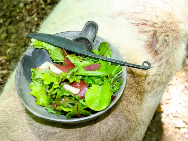 Connections between Anxiety and Diarrhea: Exploring Causes, Remedies, and When to Consult a...