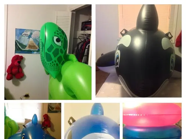 Pioneering Progress in Elastic Body Modeling for Accurate, Speedy Calculations