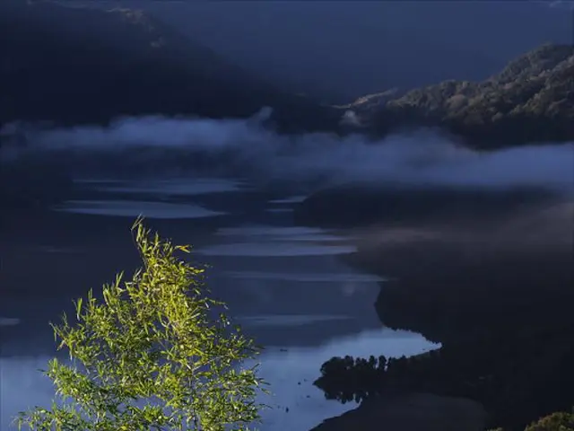 Alert issued for Pigeon Lake due to harmful algal bloom