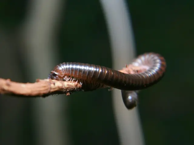 Stay updated on summer's ever-evolving parasitic issues