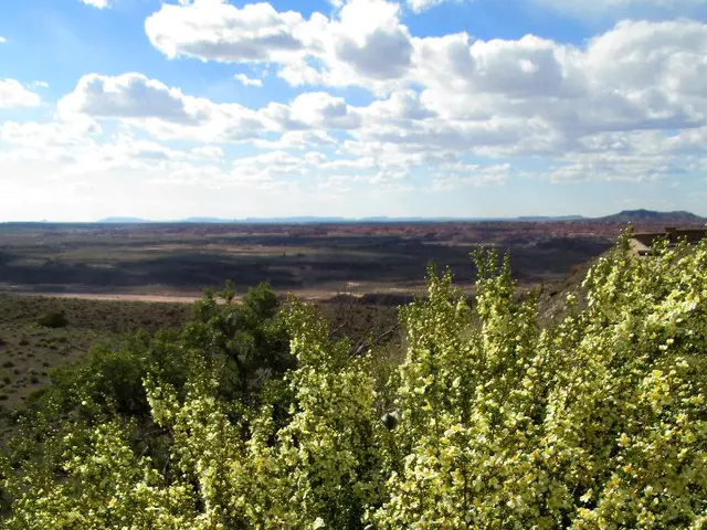 Plant photosynthesis location's pigment - 13 crosswise in our website's crossword puzzle #2