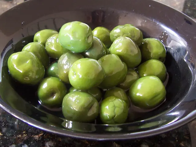 Olive Oil Safety for Dogs: Is It Harmless?