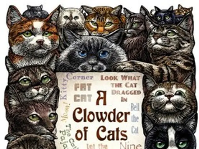 Routine use of animal models by medical professionals, according to professionals in the field.